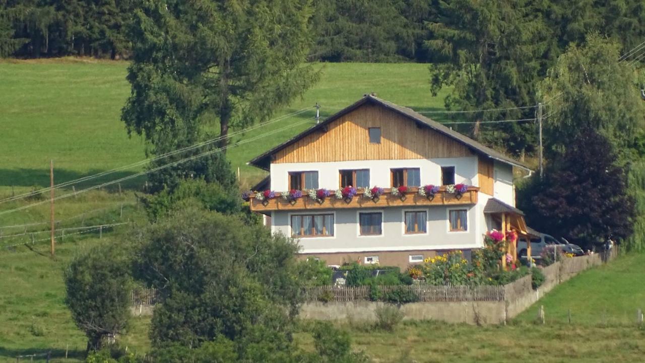 Ferienwohnung Greim Sankt Peter am Kammersberg Exterior foto