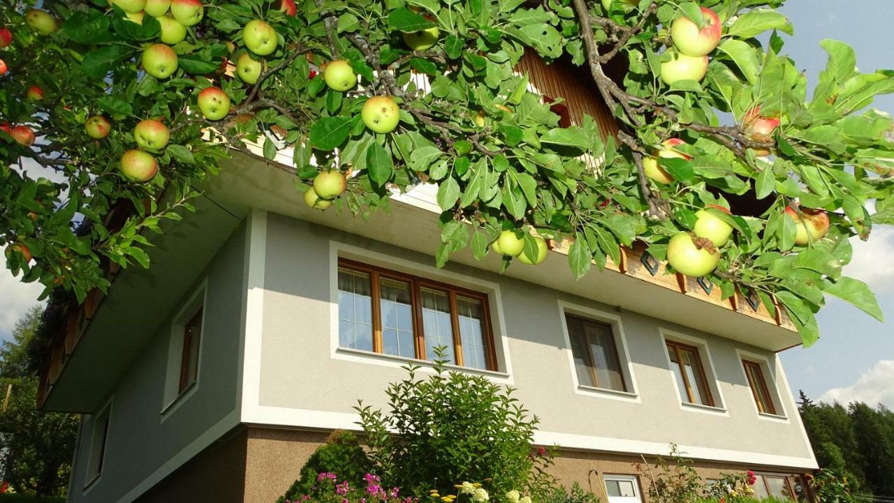 Ferienwohnung Greim Sankt Peter am Kammersberg Exterior foto